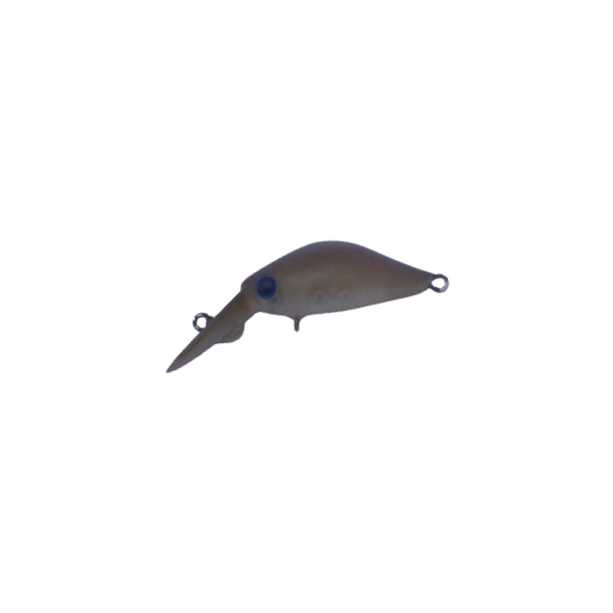Daysprout Rita DR-F — official Daysprout product photo