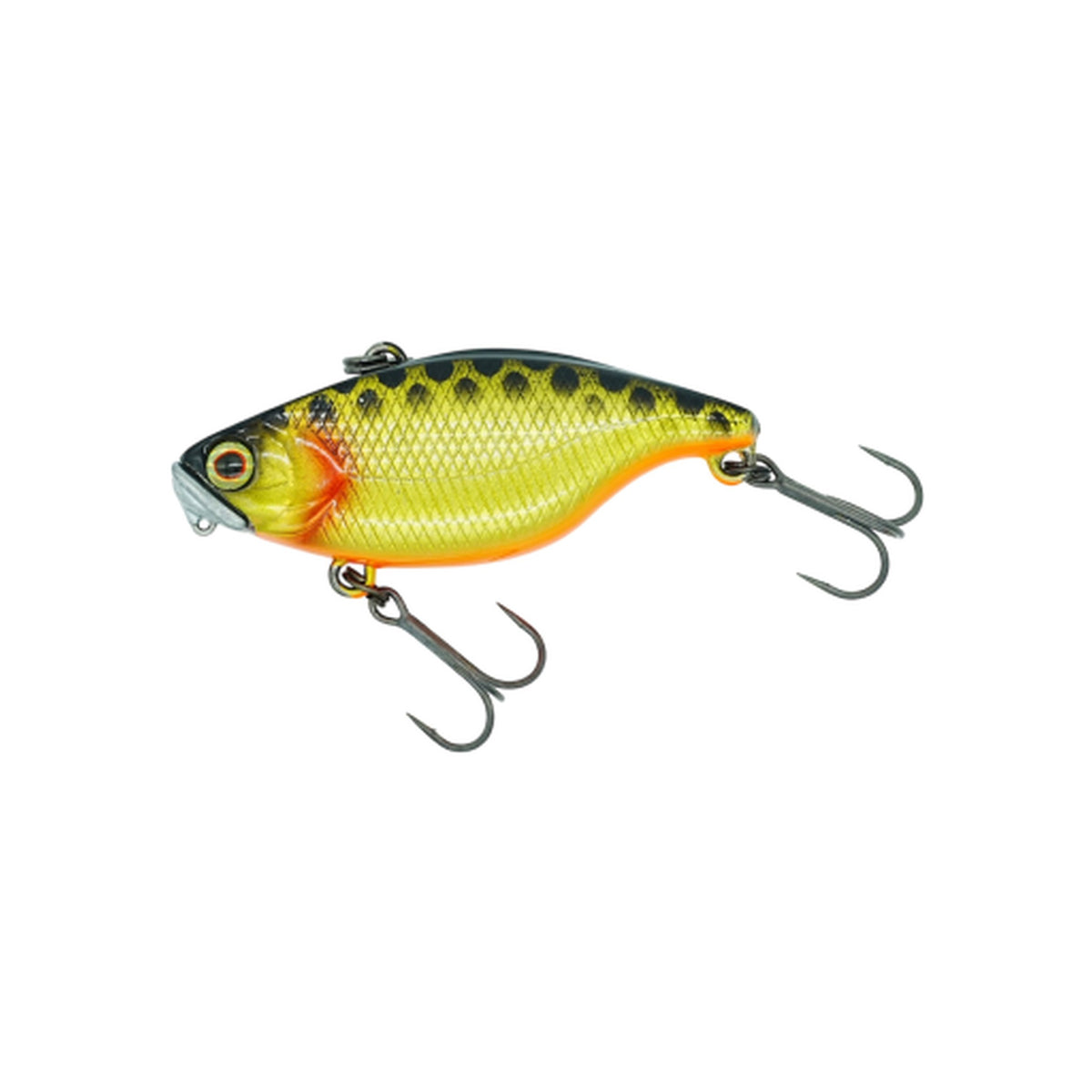DSTYLE TN50 TypeD RS in DA Kinkuro — official product photo