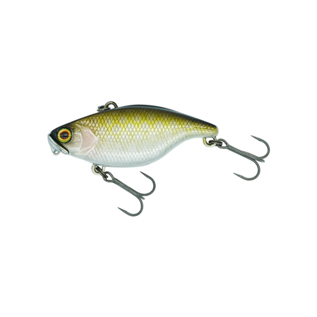DSTYLE TN50 TypeD RS in Golden Scale — official product photo