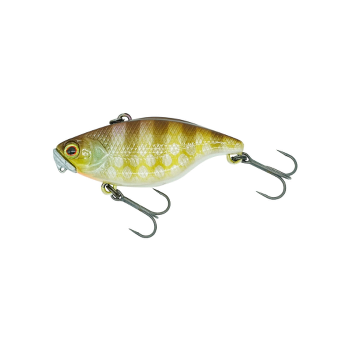 DSTYLE TN50 TypeD RS in Noike Gill TypeD — official product photo