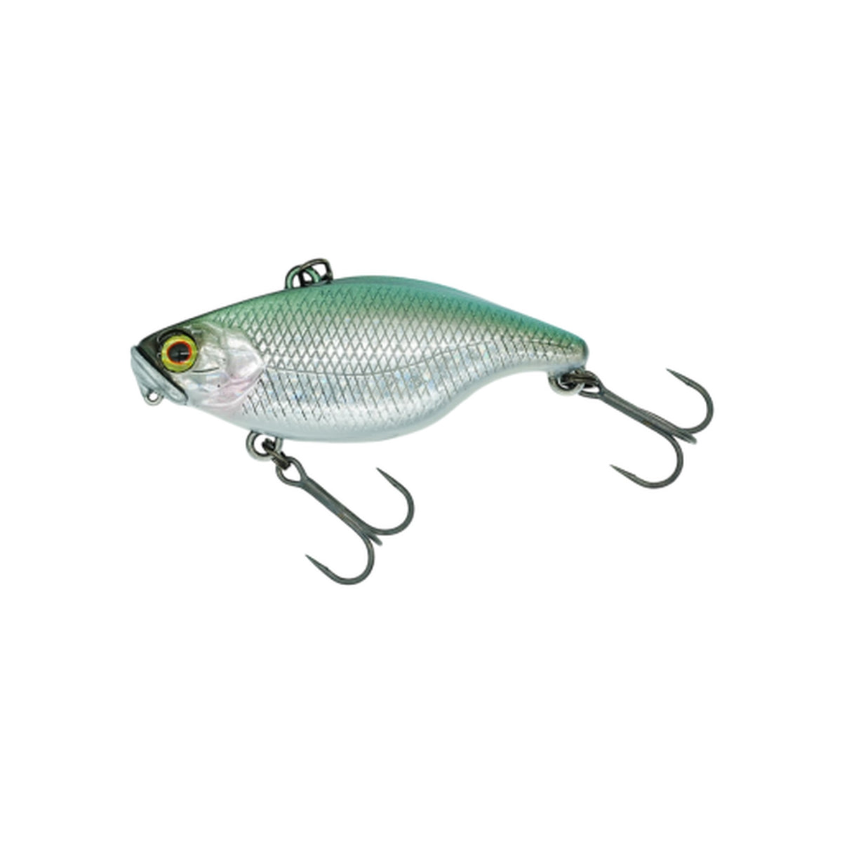 DSTYLE TN50 TypeD SS in Silver Fang Carp — official product photo