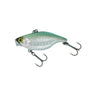 Silver Fang Carp