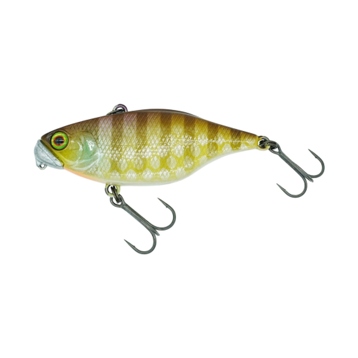 DSTYLE TN60 TypeD RS in Noike Gill TypeD — official product photo