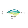 CRSD - Caribbean Shad