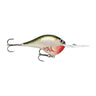 BOS - Bleeding Olive Shiner