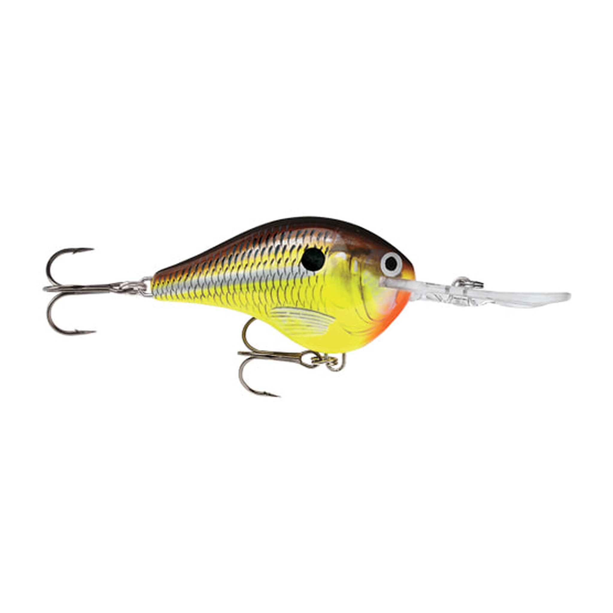 Rapala Dives-To DT6 in HM - Hot Mustard — official Rapala product photo