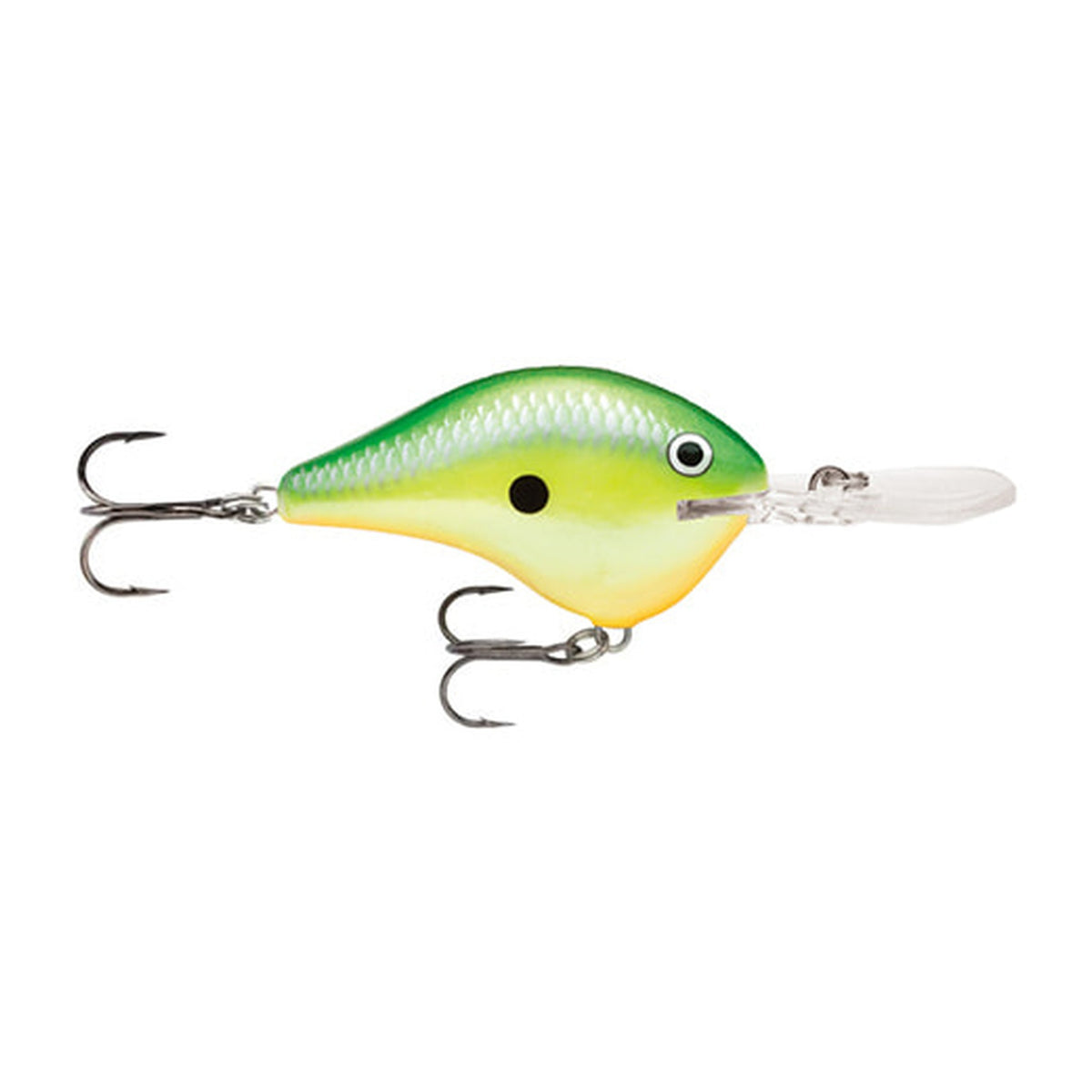 Rapala Dives-To DT6 in RTA - Rasta — official Rapala product photo
