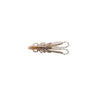 072 Longarm Shrimp