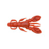 Red Isome Worm