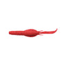 Red Shrimp