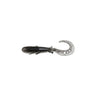 Anchovy (159)