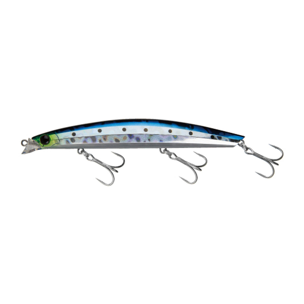 Eclipse Astraia 127F HiBeat in 007 Japanese Sardine (Maiwashi) — official Eclipse product photo