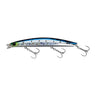 007 Japanese Sardine (Maiwashi)