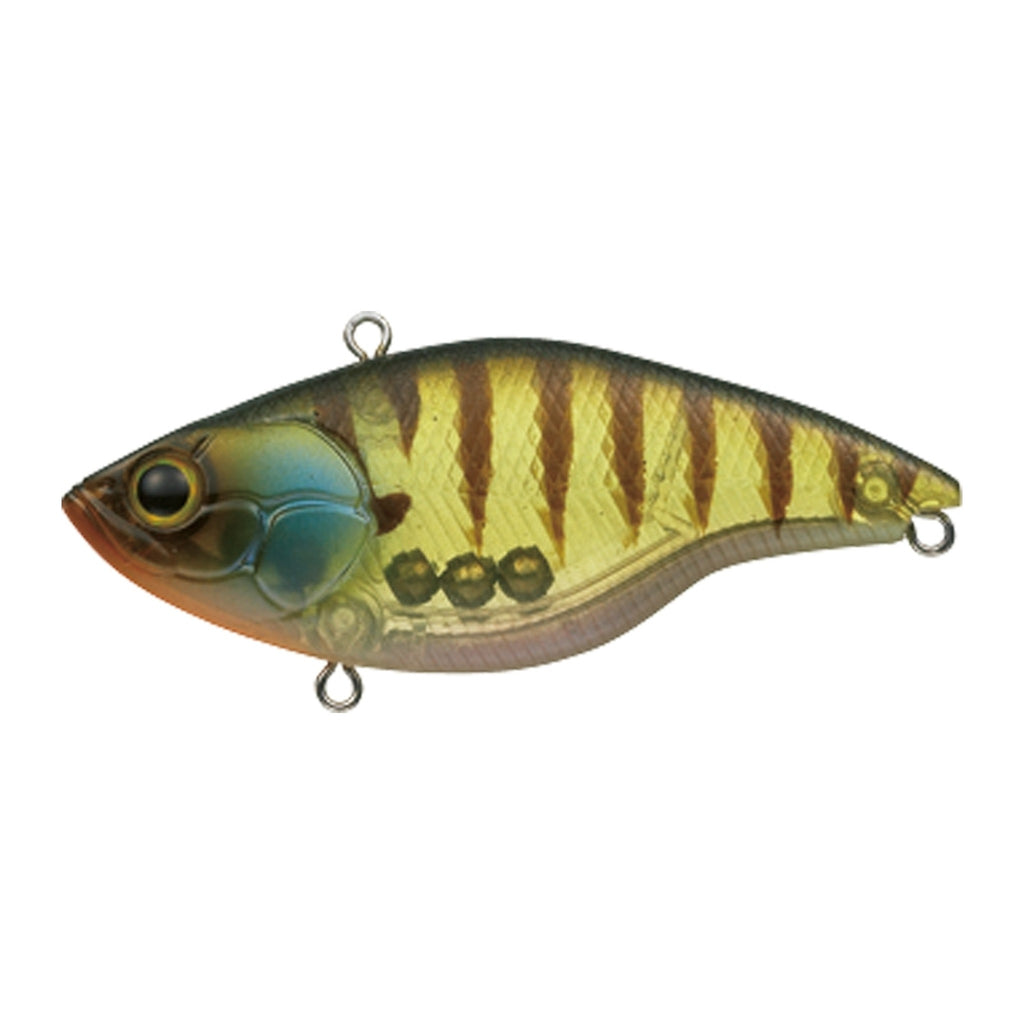 Evergreen Buzzer Beater Tungsten in Glass Gill — official Evergreen product photo