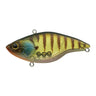Glass Gill
