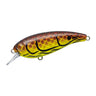 Brown Chart Craw