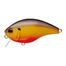 Panfish