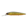 Golden Shiner