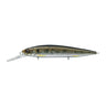 Crush Silver Shiner