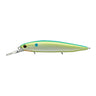 Champion Shad