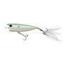 Champion Shad