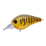 Dazzler Craw