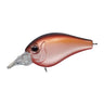 Brown Shad