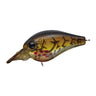 Bleeding Brown Craw