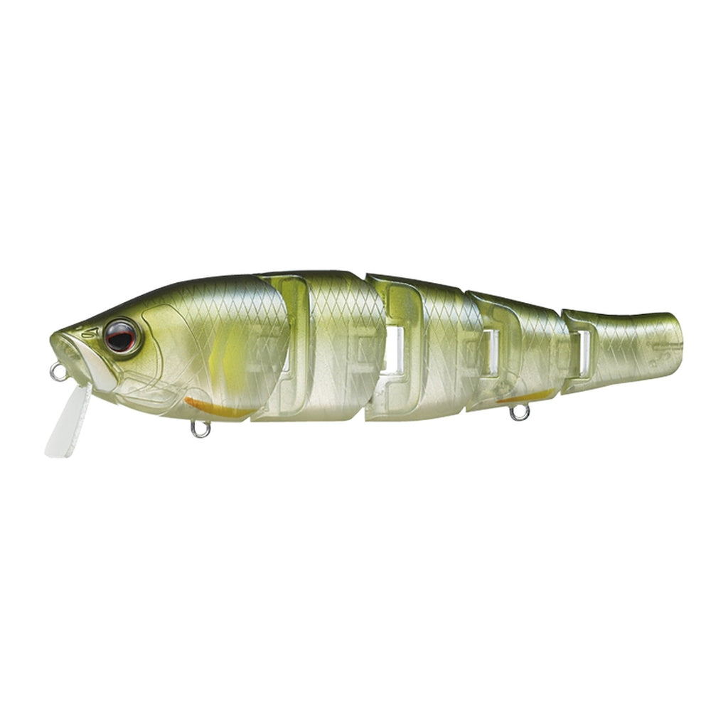 Evergreen Royal Flash in Ayu — official Evergreen product photo