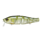 Evergreen Royal Flash in Ayu — official Evergreen product photo