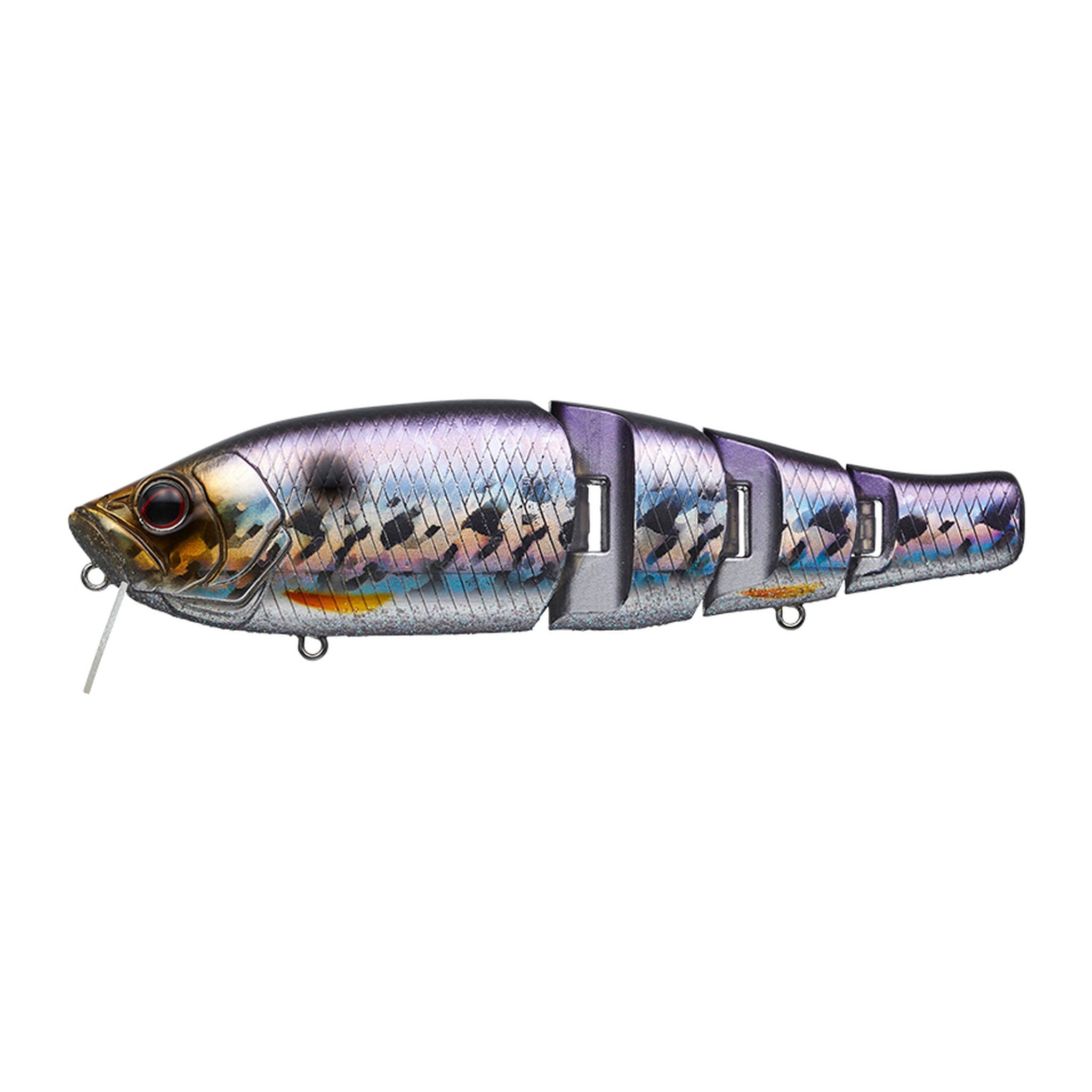 Evergreen Royal Flash Jr. in Hologram Wakasagi — official Evergreen product photo