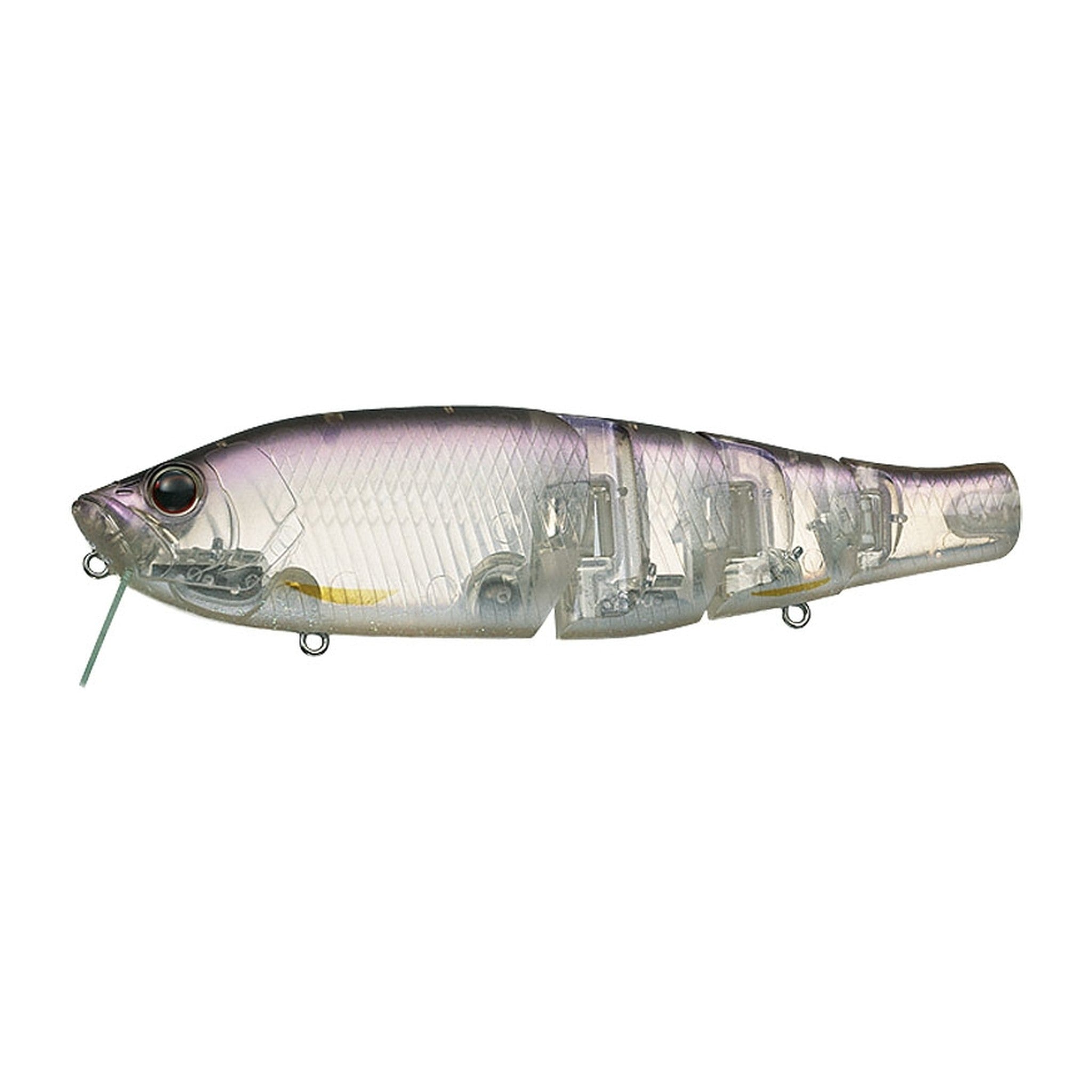 Evergreen Royal Flash Jr. in Flash Wakasagi — official Evergreen product photo
