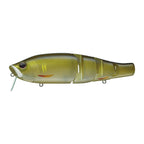 Evergreen Royal Flash Jr. in Ayu — official Evergreen product photo