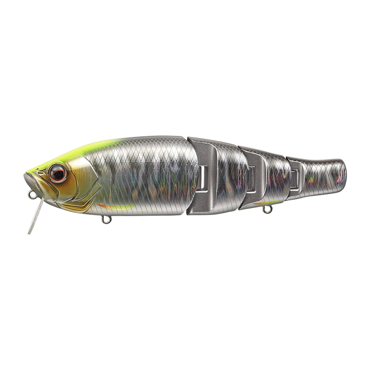 Evergreen Royal Flash Jr. in Kikumoto Hasu — official Evergreen product photo