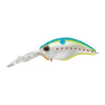 Champion Shad