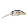 King Shad