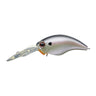 Cold Shad