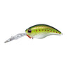 Olive Copper Shad