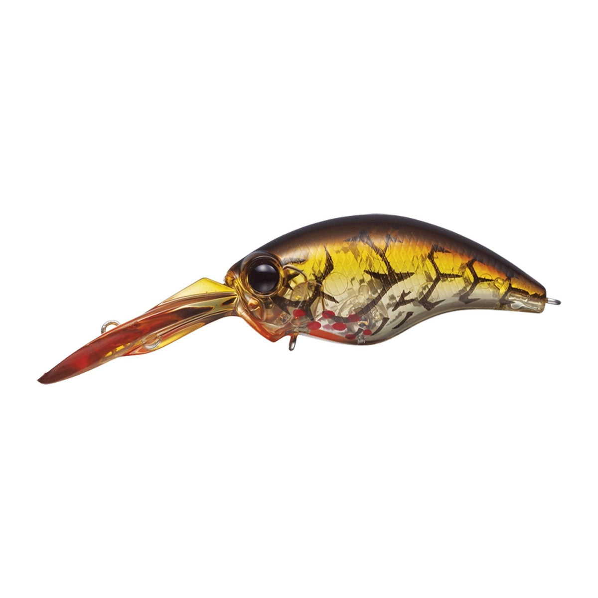 Evergreen Wild Hunch 8 Footer in Bleeding Brown Craw — official Evergreen product photo