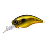 Golden Shiner