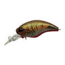 Olive Craw Dad