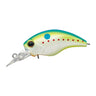 Champion Shad