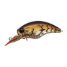 Bleeding Brown Craw