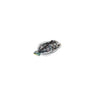 Black Abalone