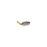 Golden Shiner