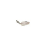 Cold Shad