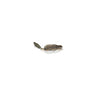 Green Pumpkin Shad