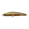 Amber Smoke Dazzler B