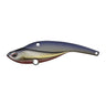Katakuchi Red Belly