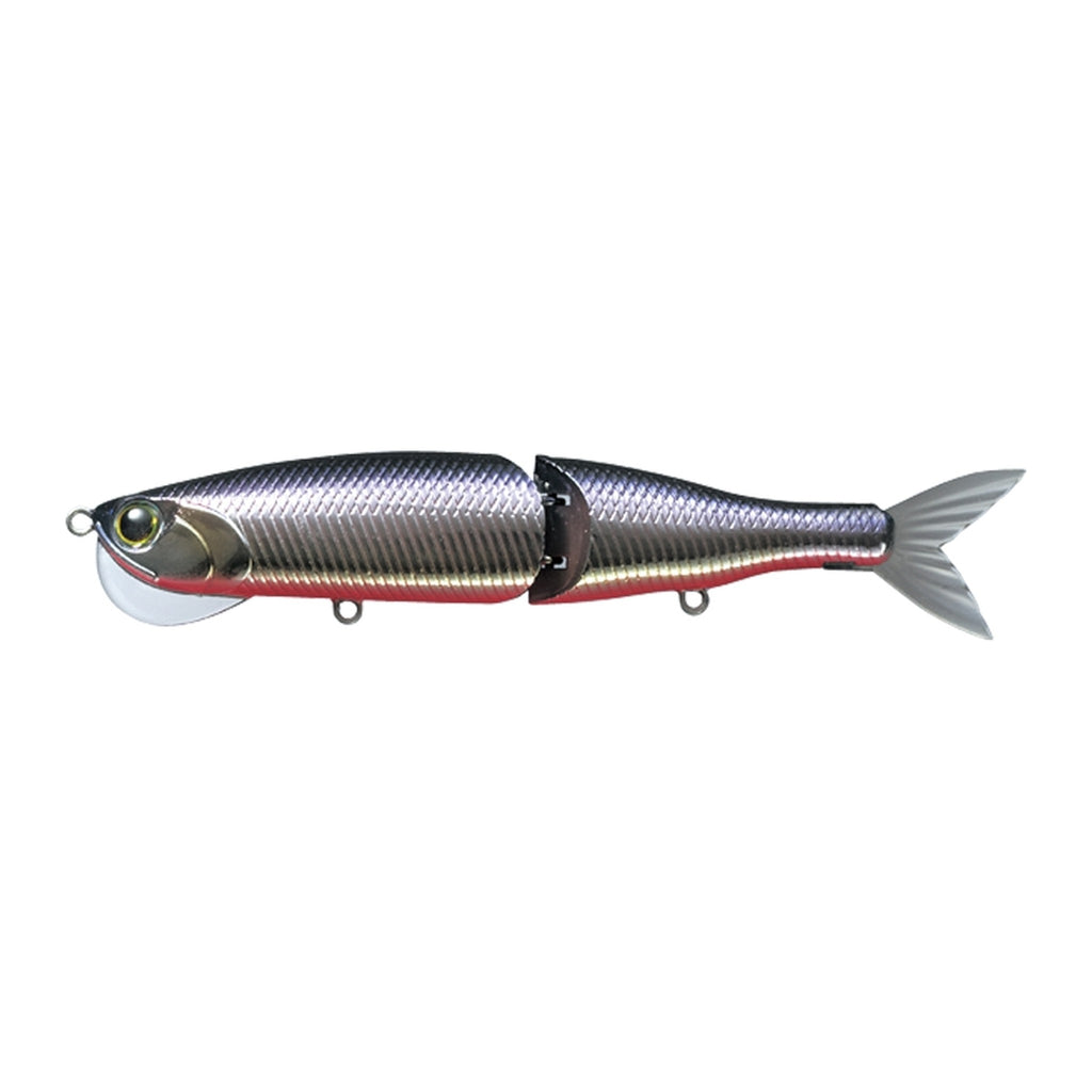 Evergreen Sea Drive in Katakuchi Red Belly — official Evergreen product photo